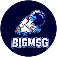 BIGMSG - Dompet Digital Terpercaya untuk Transaksi Keuangan Anda